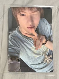 環球預售馬