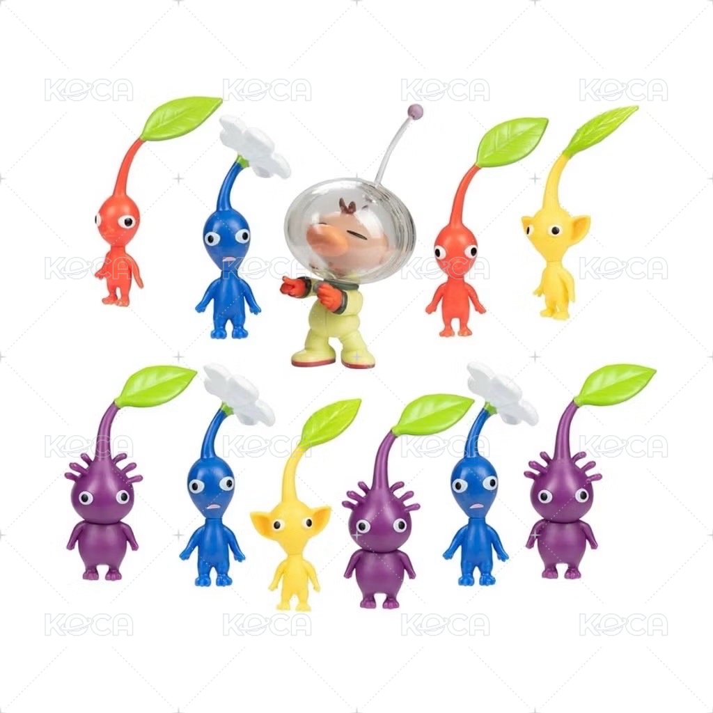 11入套裝