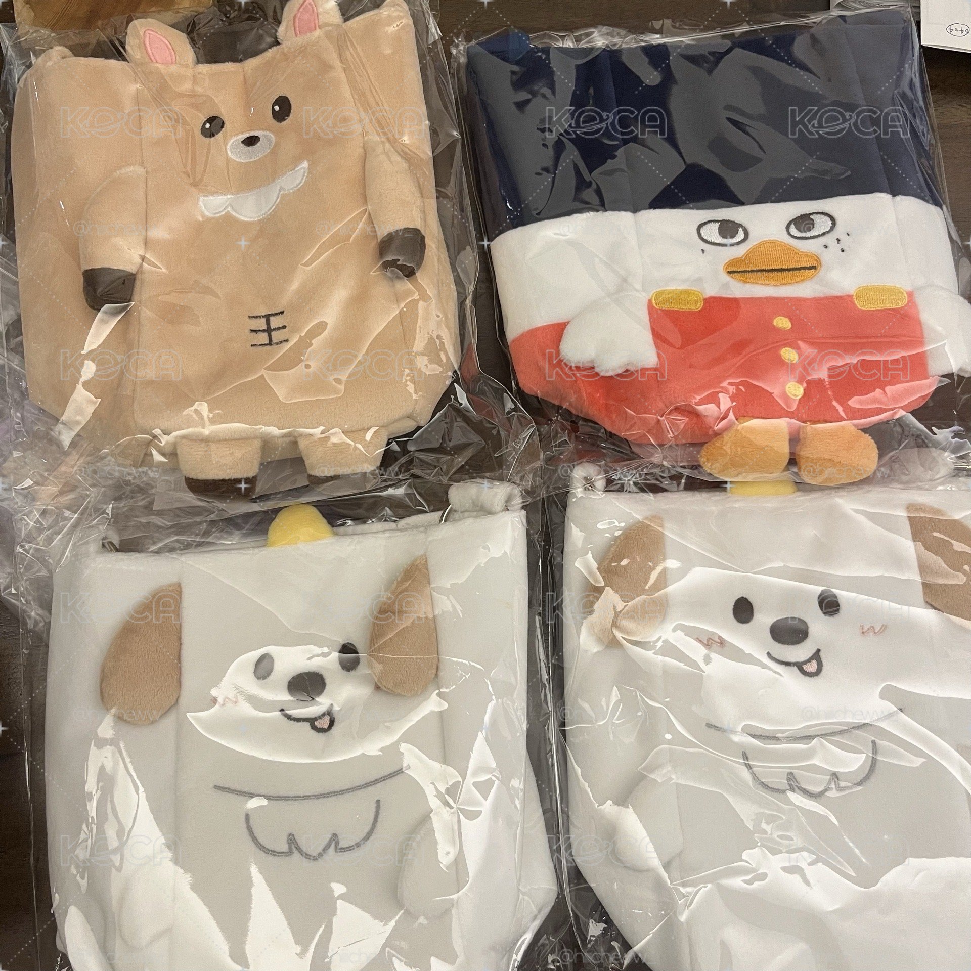 RIIZE 手燈包 現貨