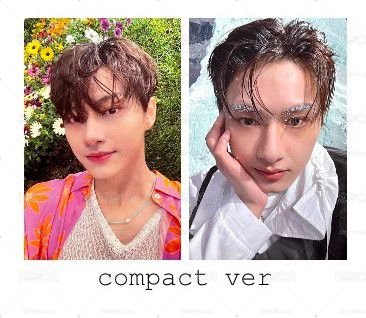 俊 正規四後續 compact 