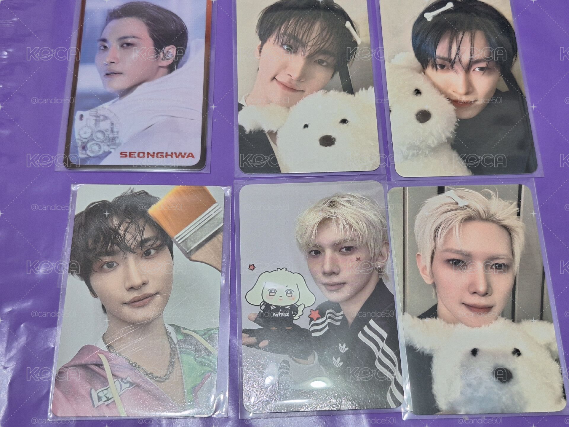 狗狗卡 星中尚 小小盤+pB一本