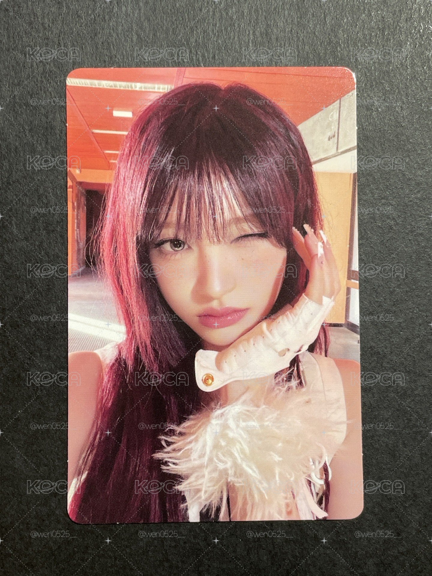 DIGIPACK 專卡 栗