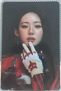 茶