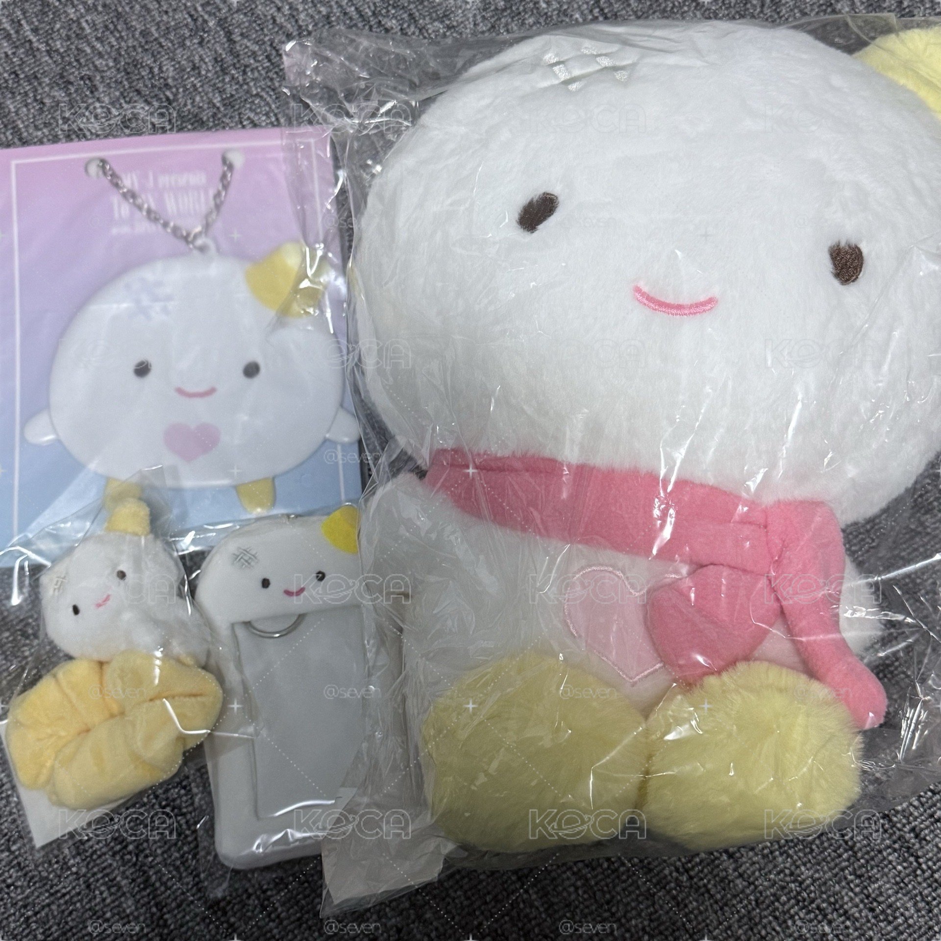 冬30cm娃盤