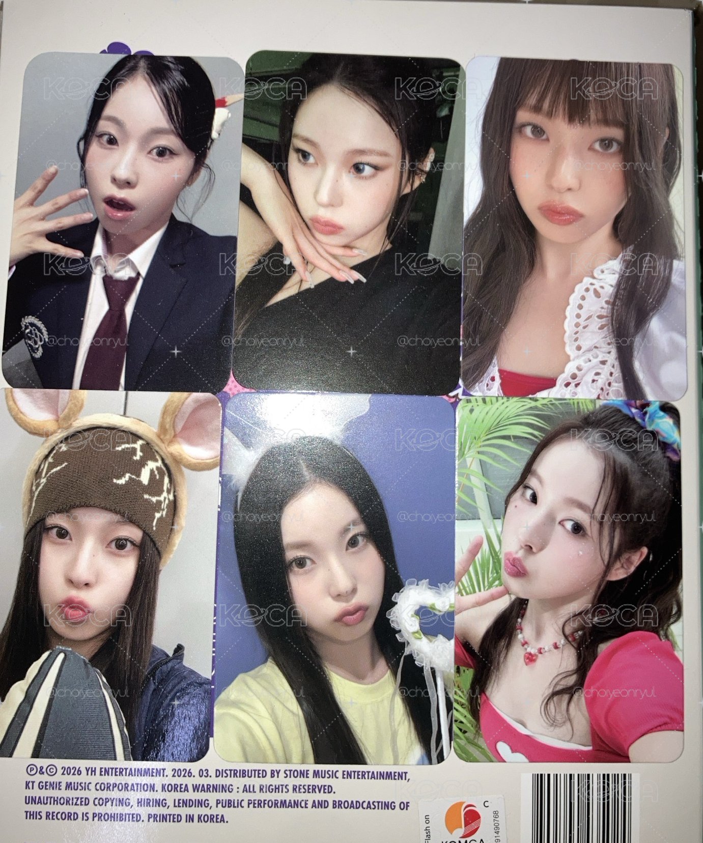 6張圭