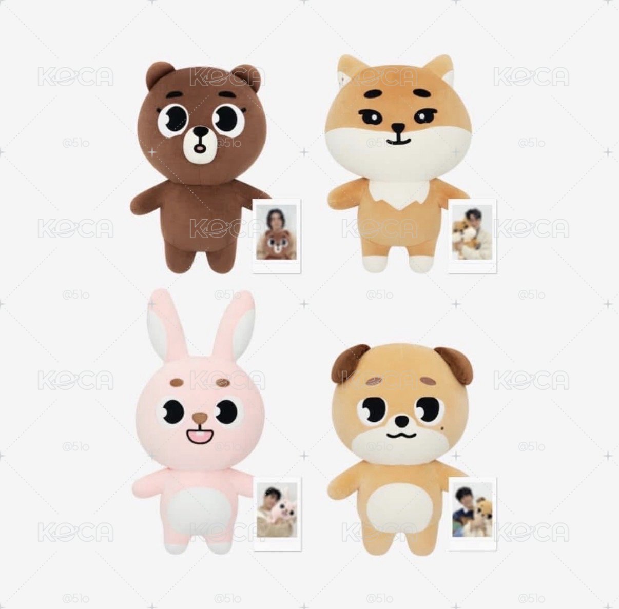 2024🐶巨娃