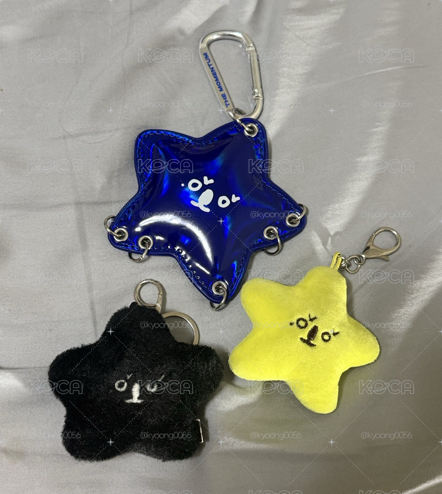 金廷祐海星
