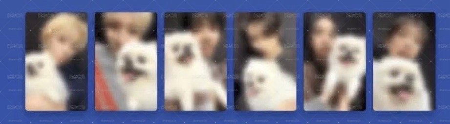 狗狗特典1（含鑰匙圈）