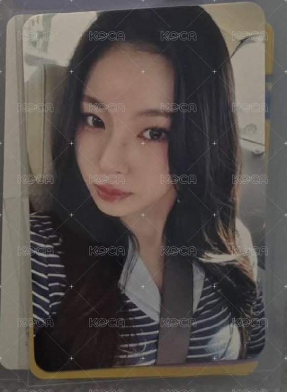 圭