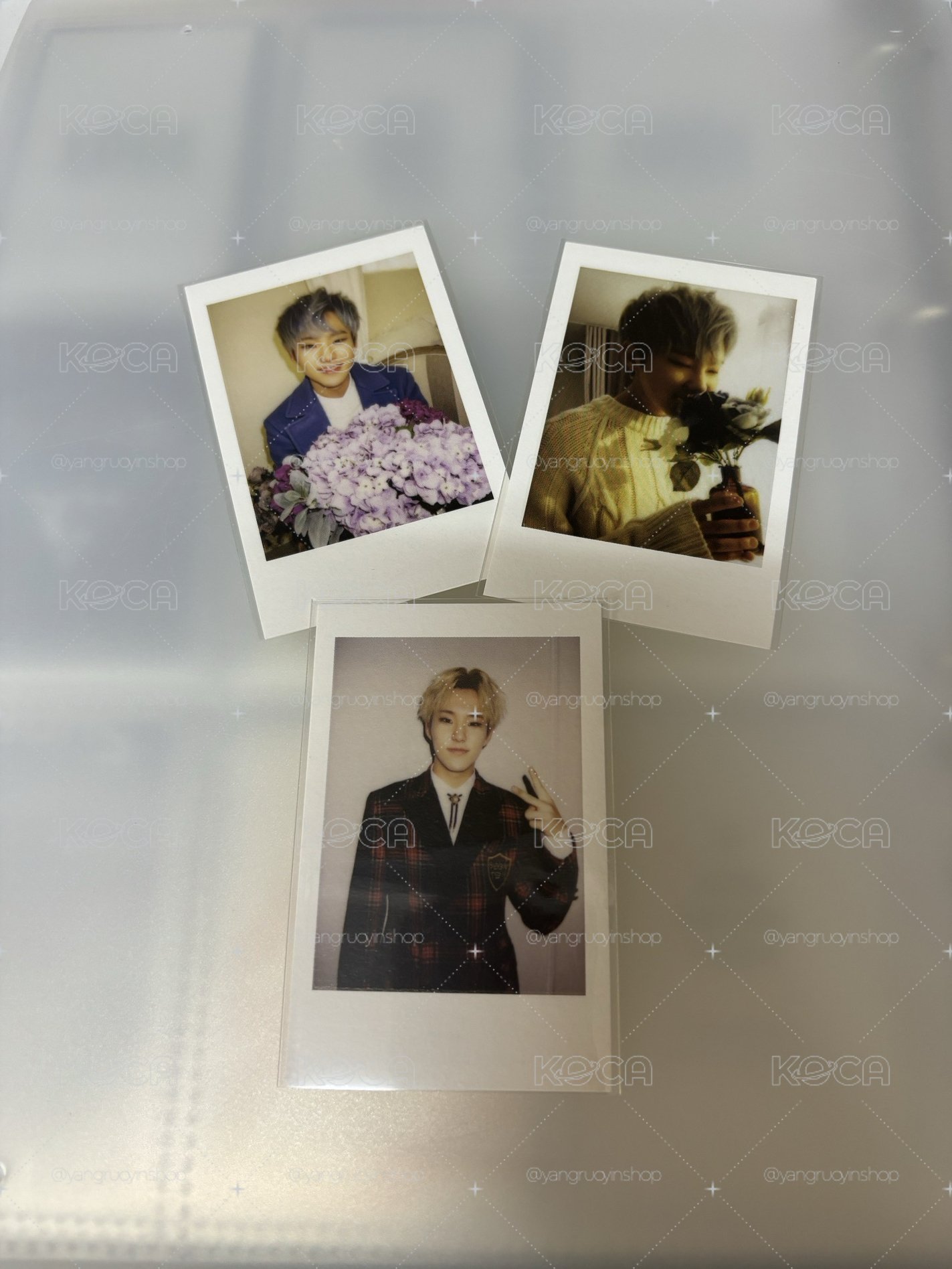 🐯16’BOYS WISH D ver. 周邊卡 