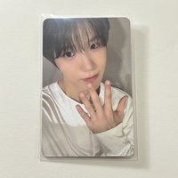 秀美甲樹