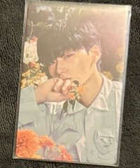 GH2花叢傘2