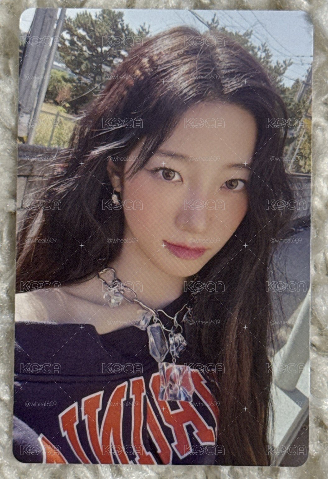 [現貨] Hello82 葉 （背後有小暇）