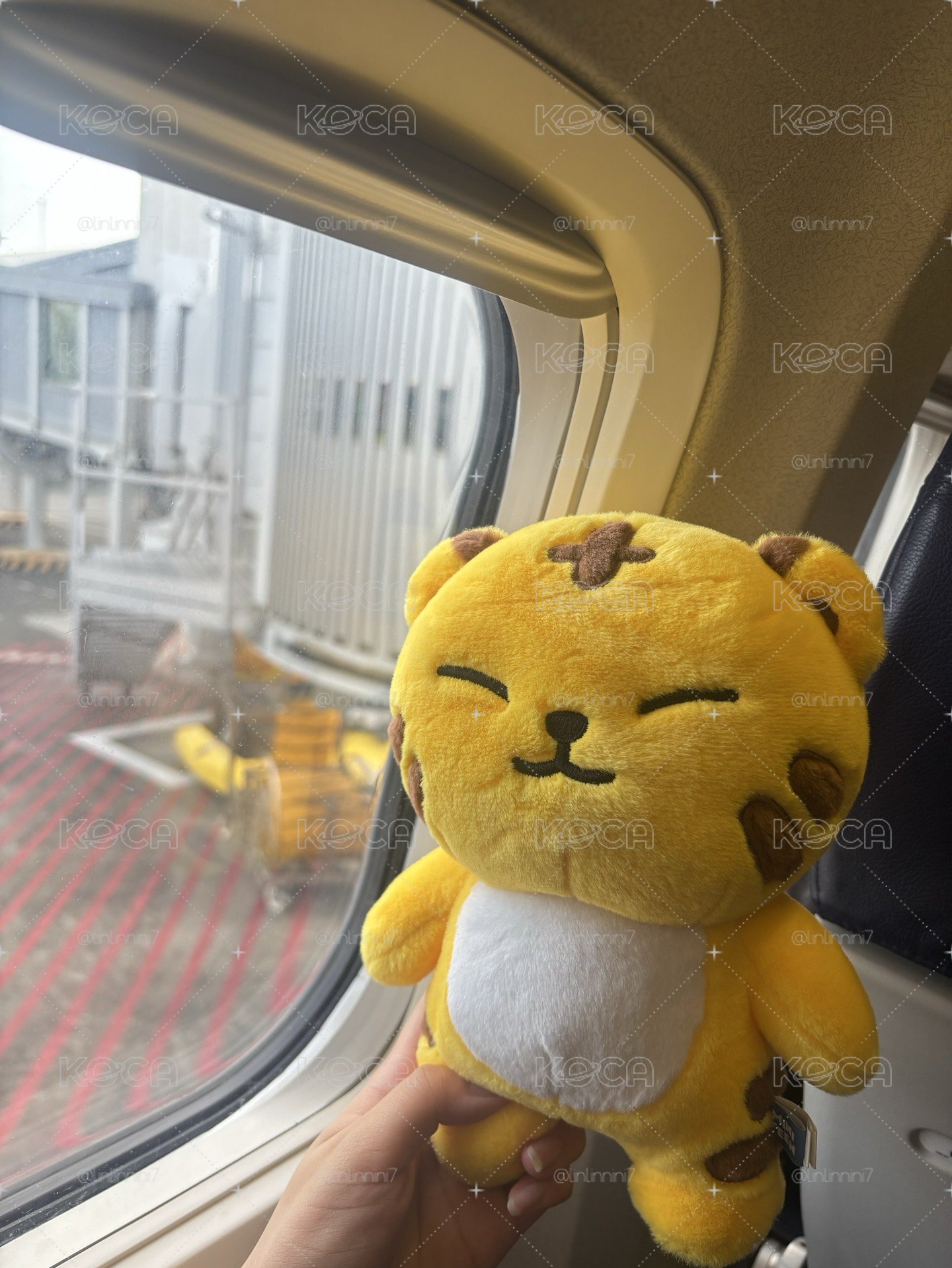 眈大王