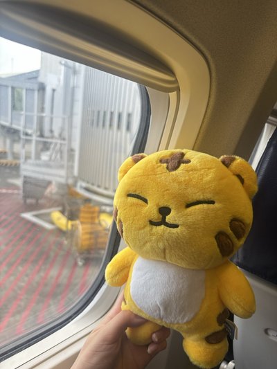 眈大王