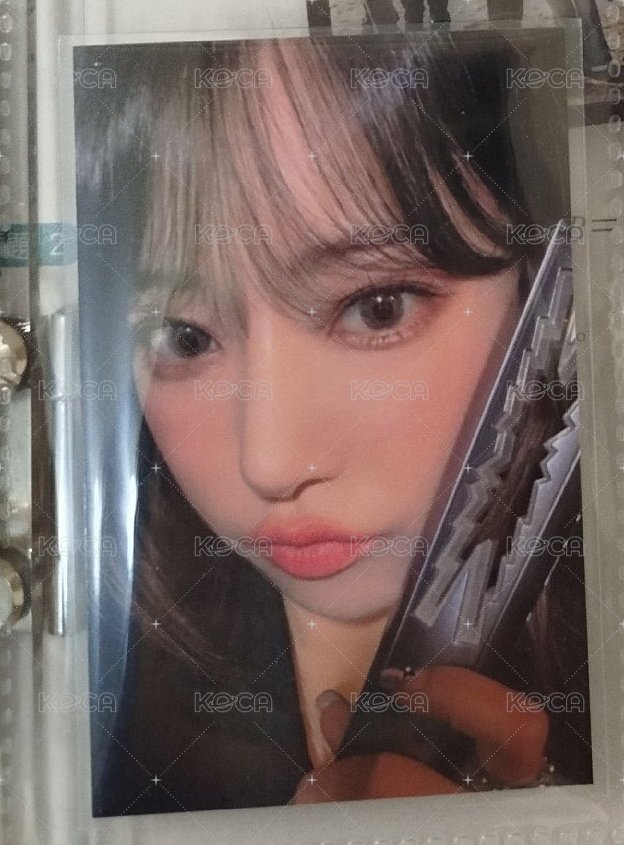 櫻花3