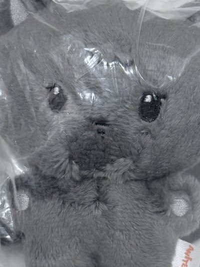 現貨｜黑貓大王🐈‍⬛