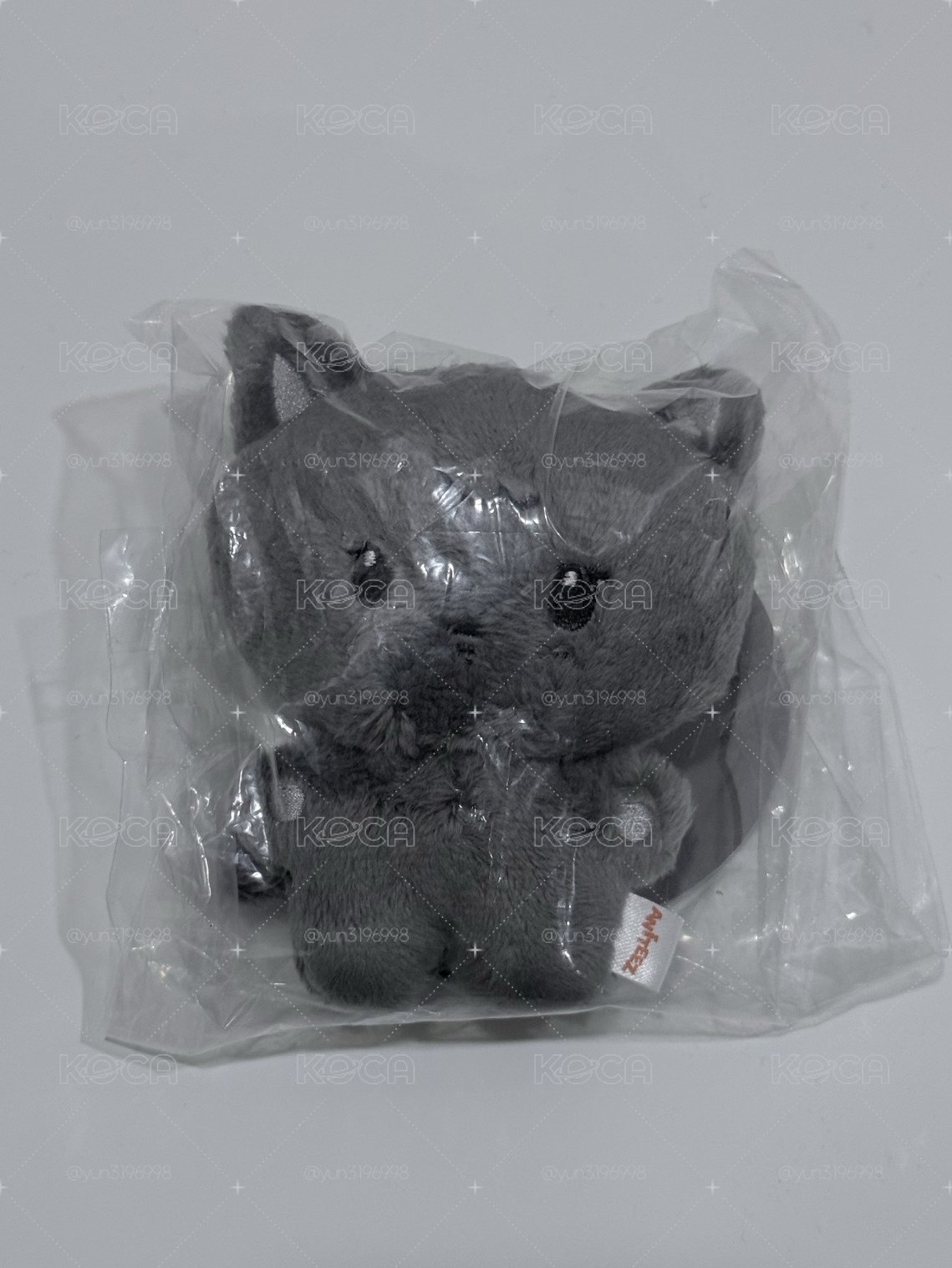 現貨｜黑貓大王🐈‍⬛