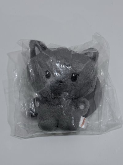 現貨｜黑貓大王🐈‍⬛
