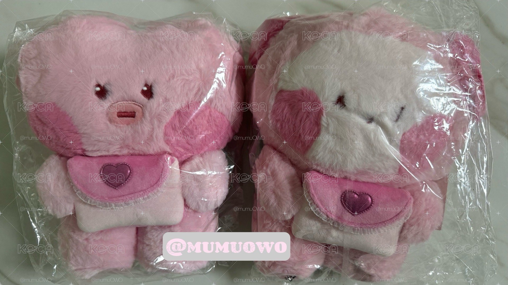 現貨 BT21告白詩卡套/大娃