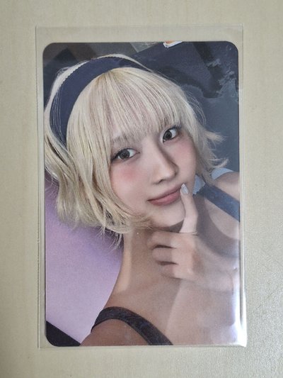 Momo starriver特典 小狗身分卡