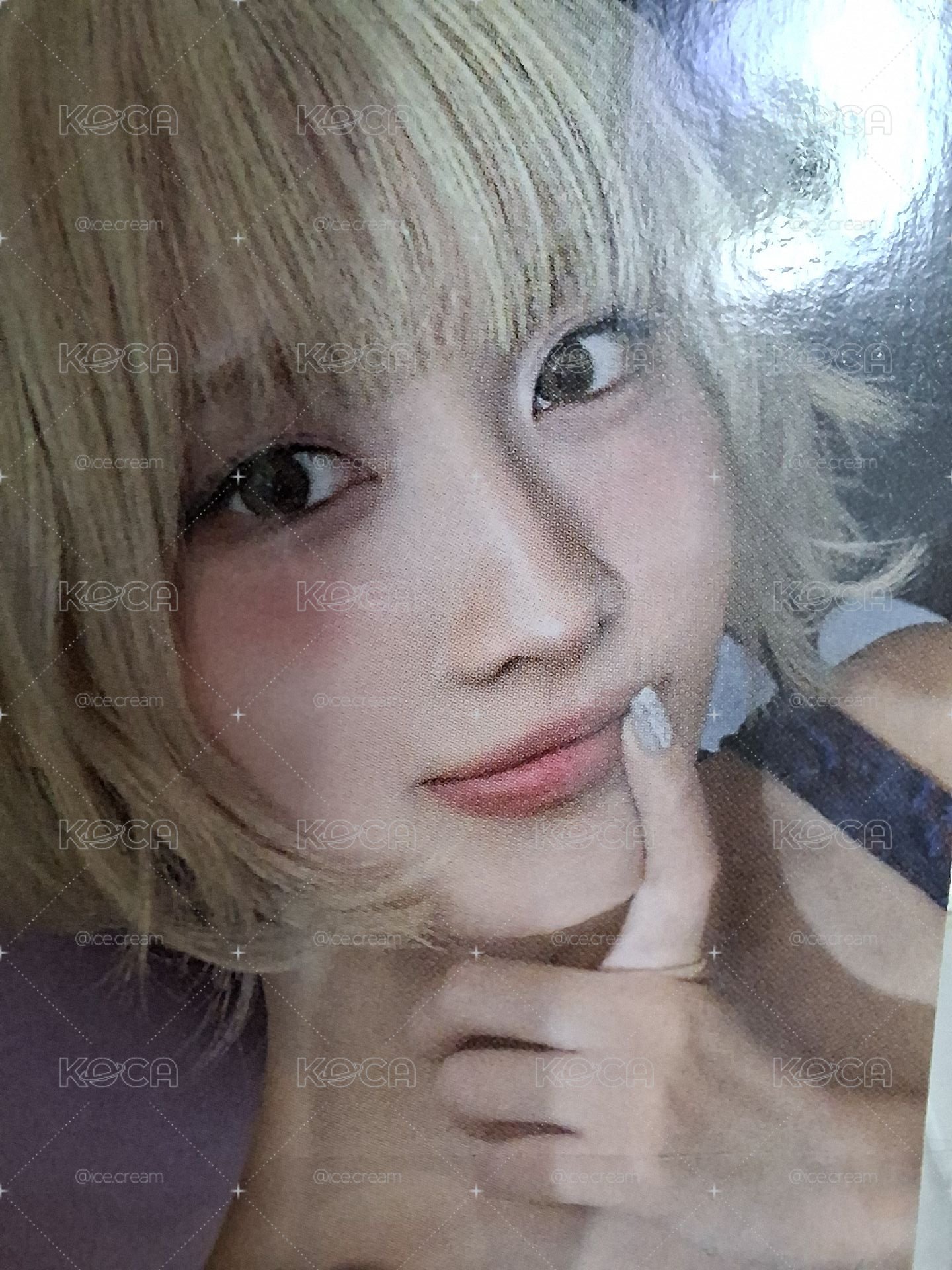 Momo starriver特典 小狗身分卡