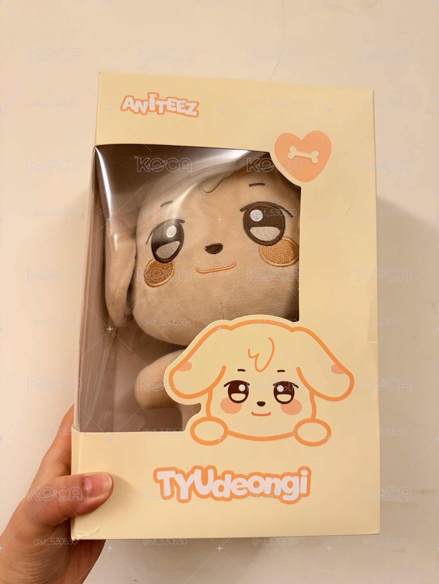 ANITEEZ  大娃 TYUdeongi