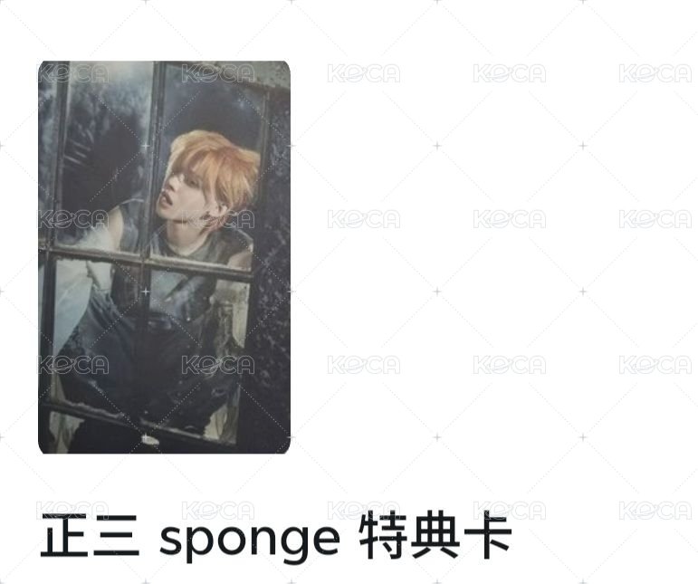 Sponge特典卡 竣(可單出)