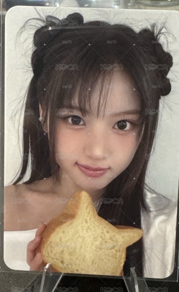 貓咪麵包 友