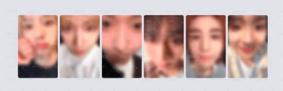 wvs單卡