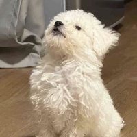 麻煩先看商品說明和主頁說明在來詢問🙂