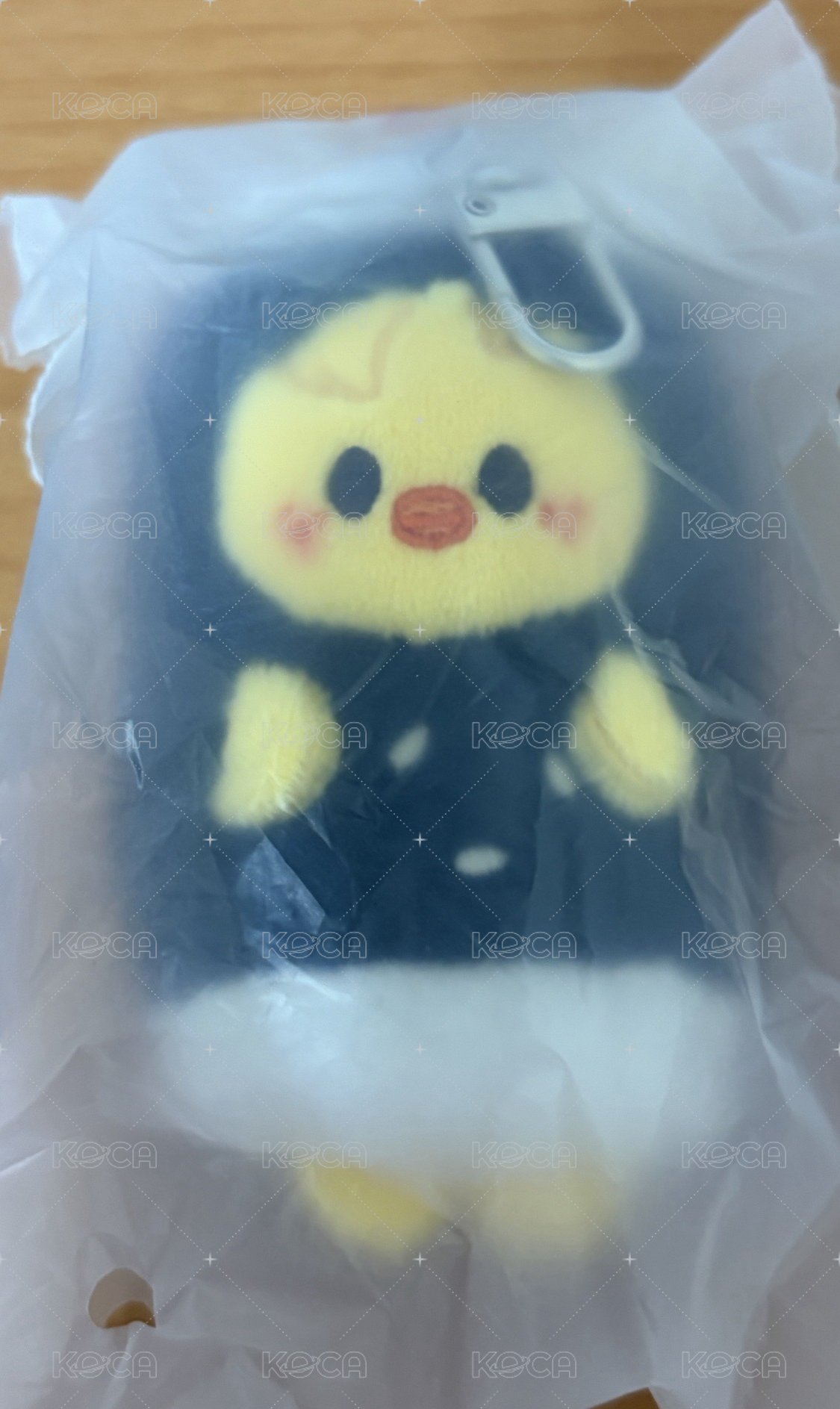 菲