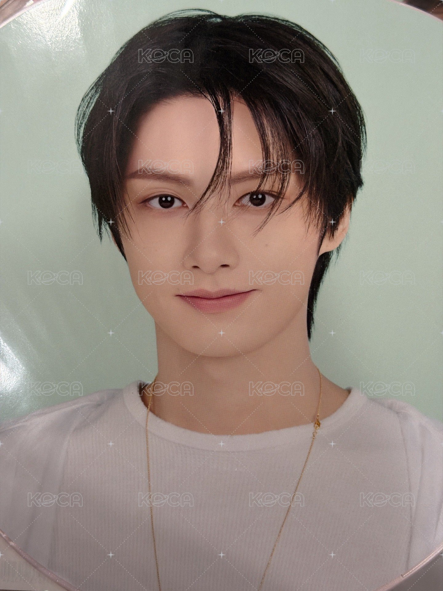大扇 俊