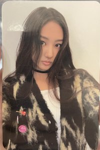 日記本 周邊卡 