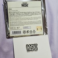 Hoshi 別針