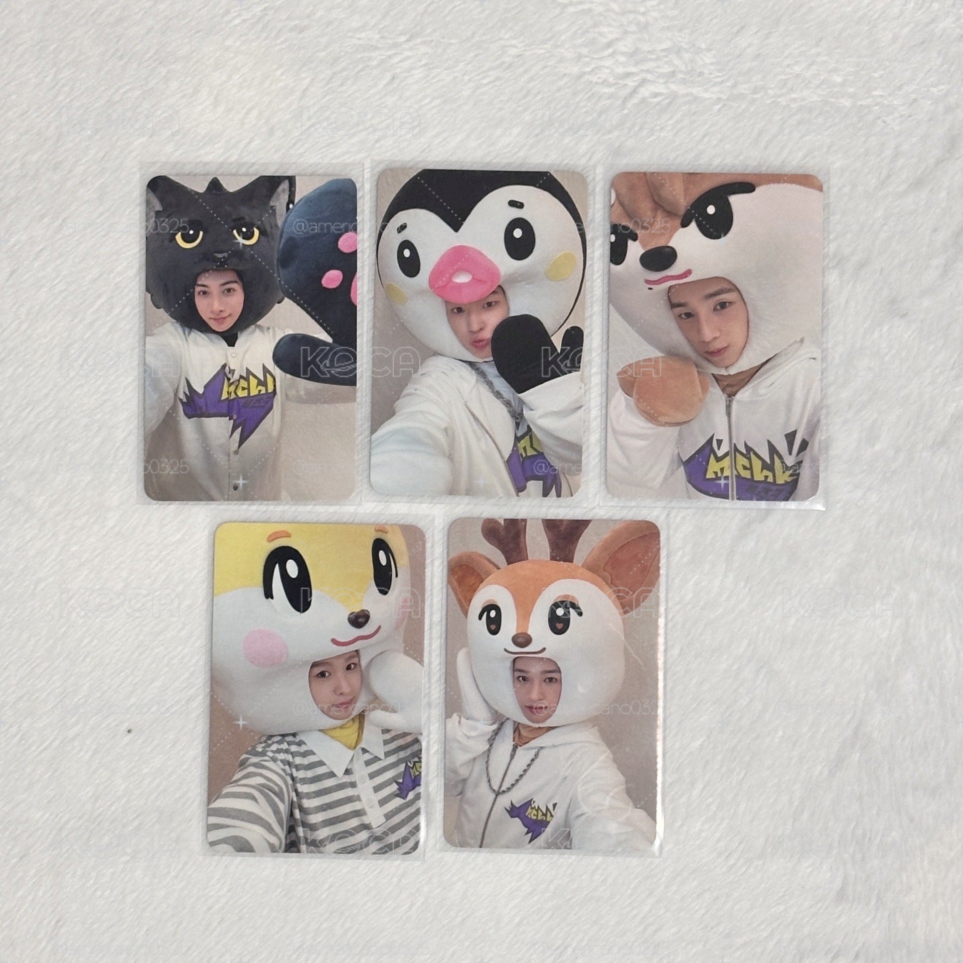 音中打歌卡 🐈‍⬛🐧🐾🦌🐿️