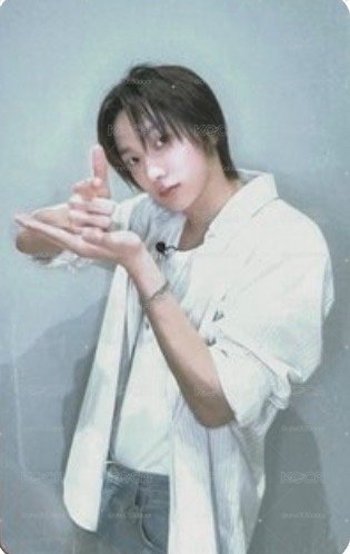 澀谷貓貓