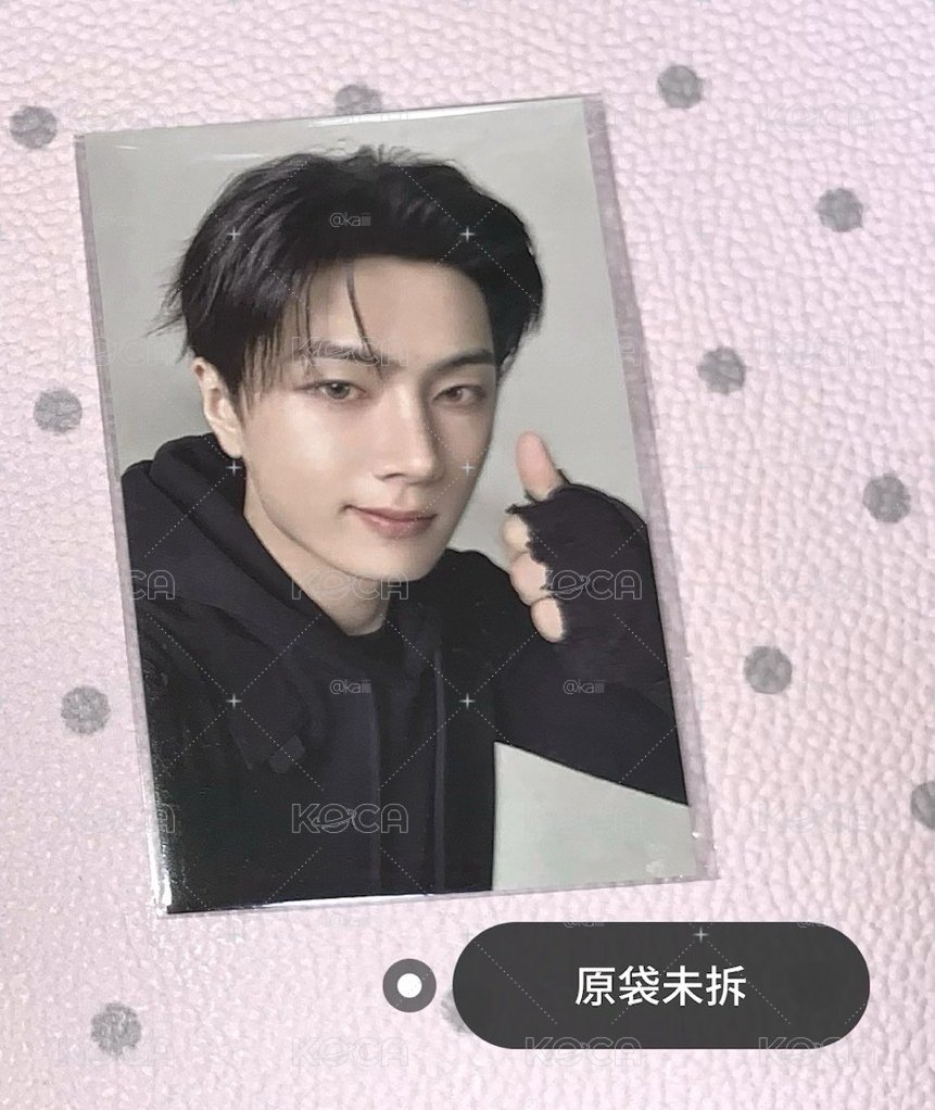 比讚黑貓