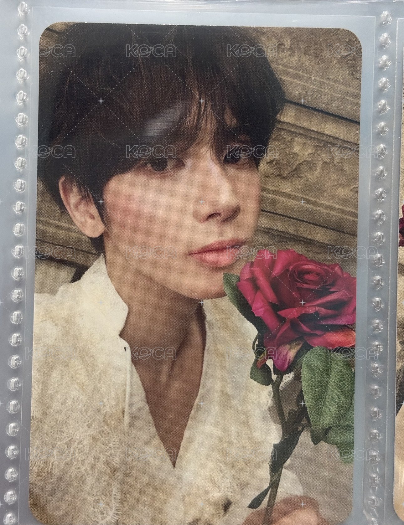🌹顯