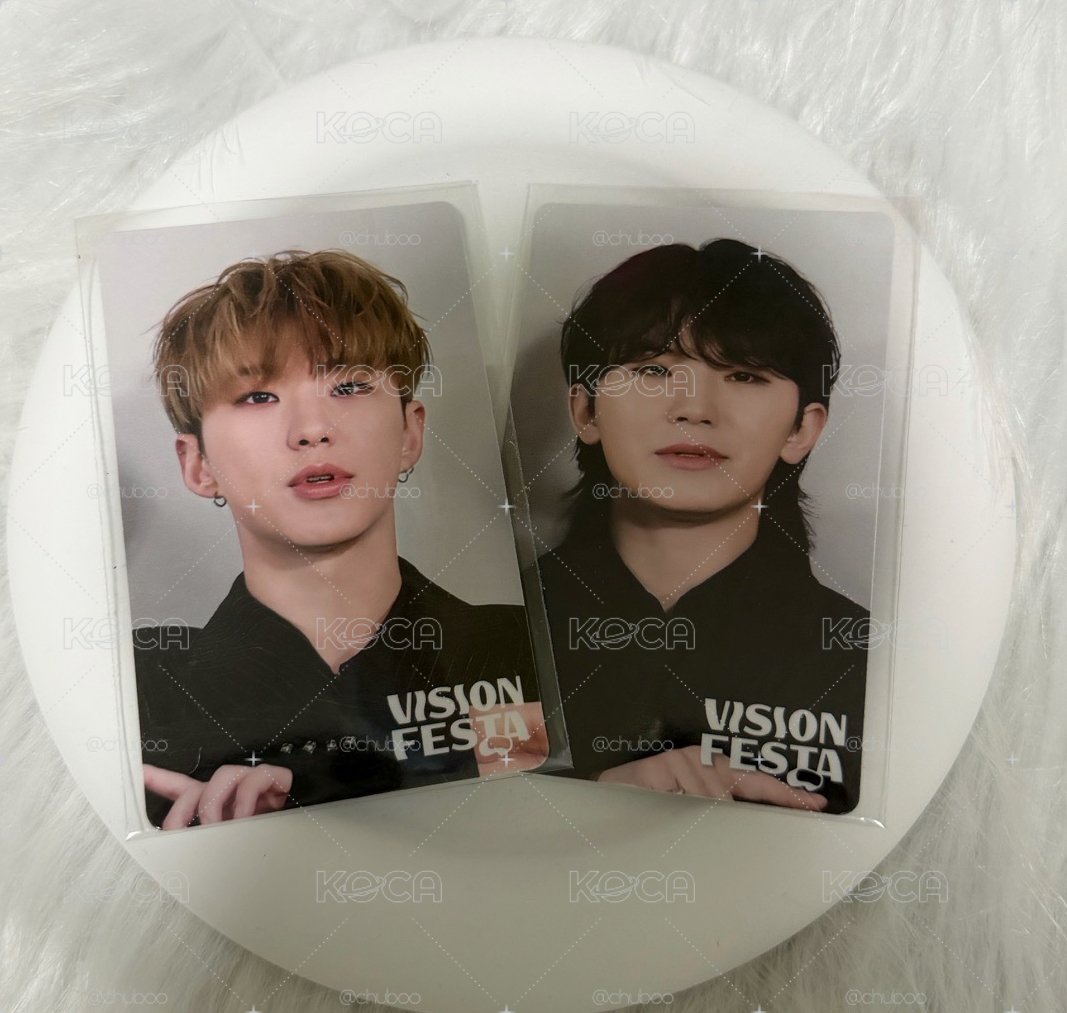 VISION FESTA入場卡豪雨🐯🍚