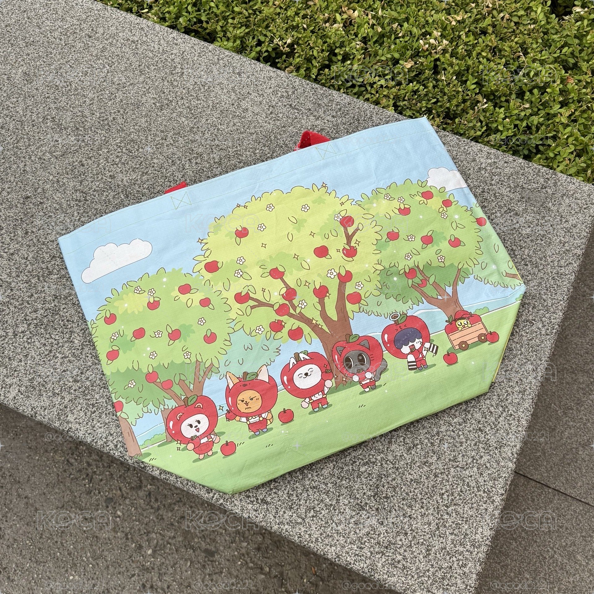 🍎購物袋