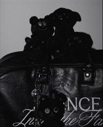 RIIZE FAME 照片展 BOSTON BAG