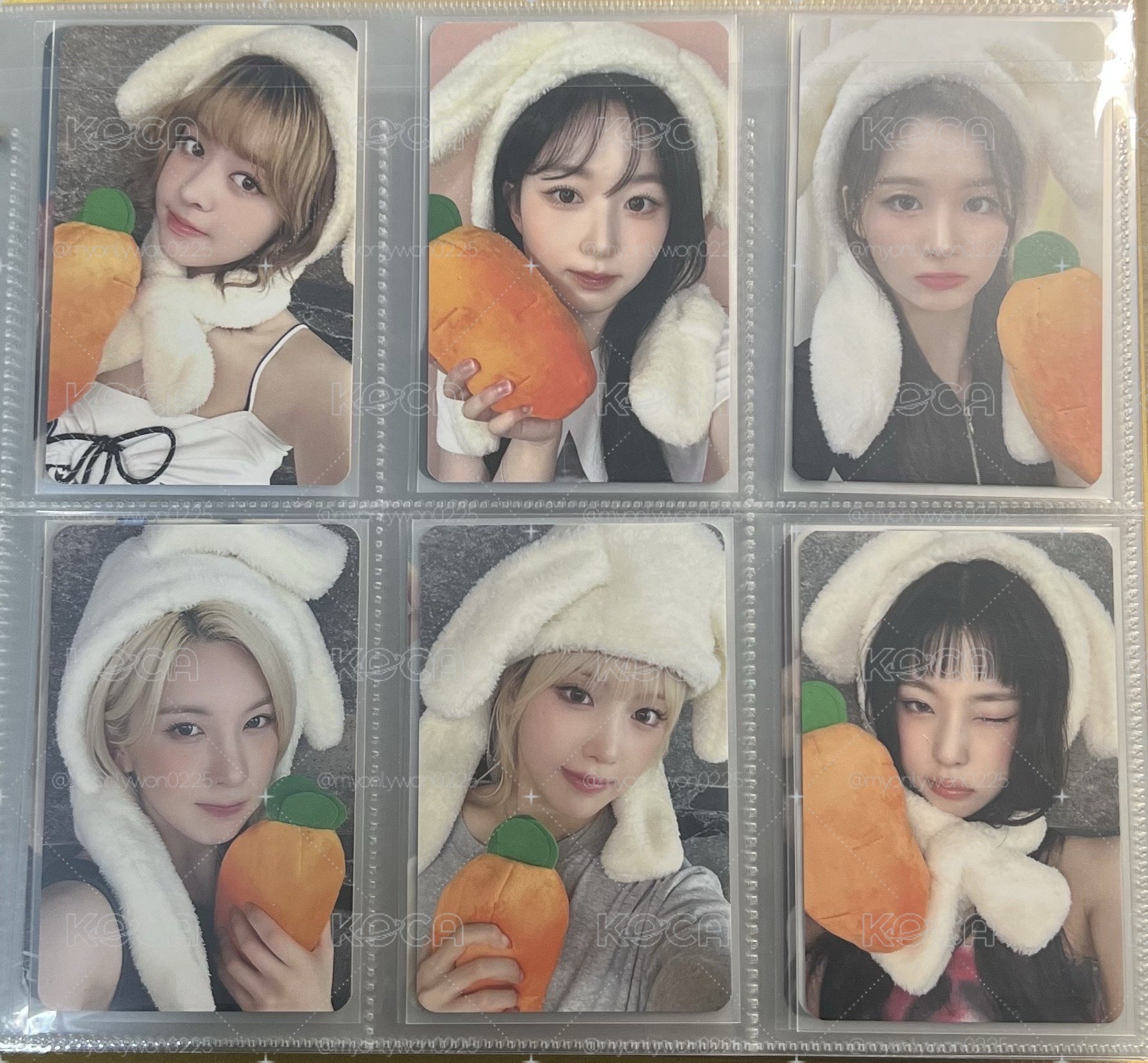 紅蘿蔔🥕