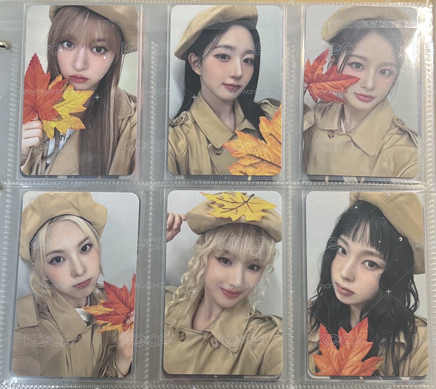 💫楓葉🍁