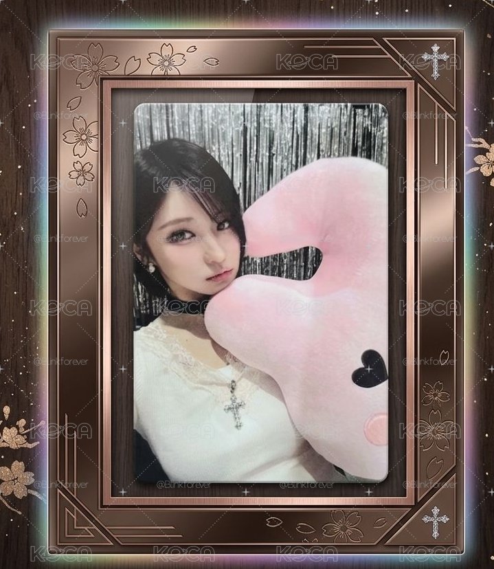 wvs早鳥禮 （紗）