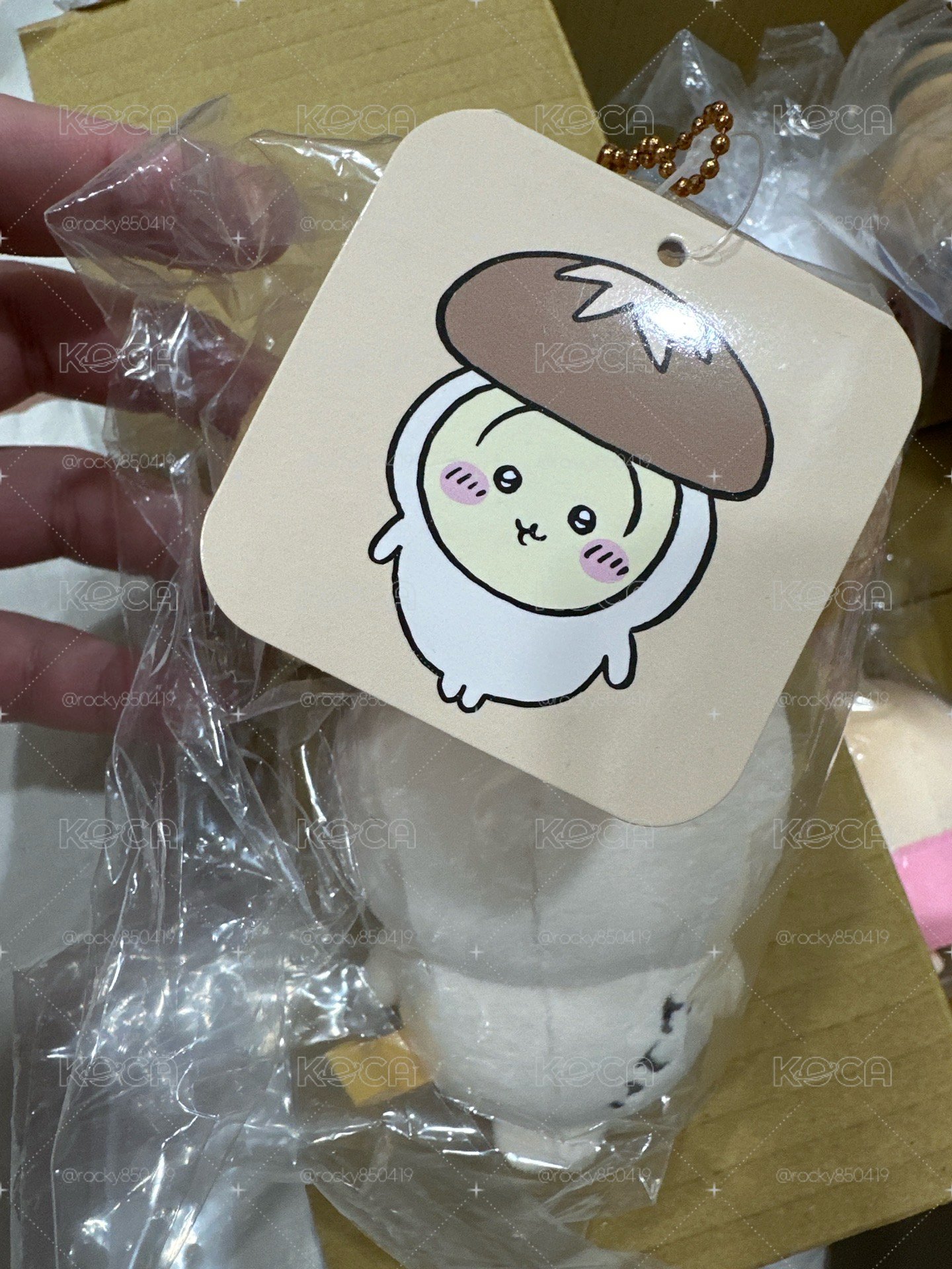 烏薩奇 香菇 