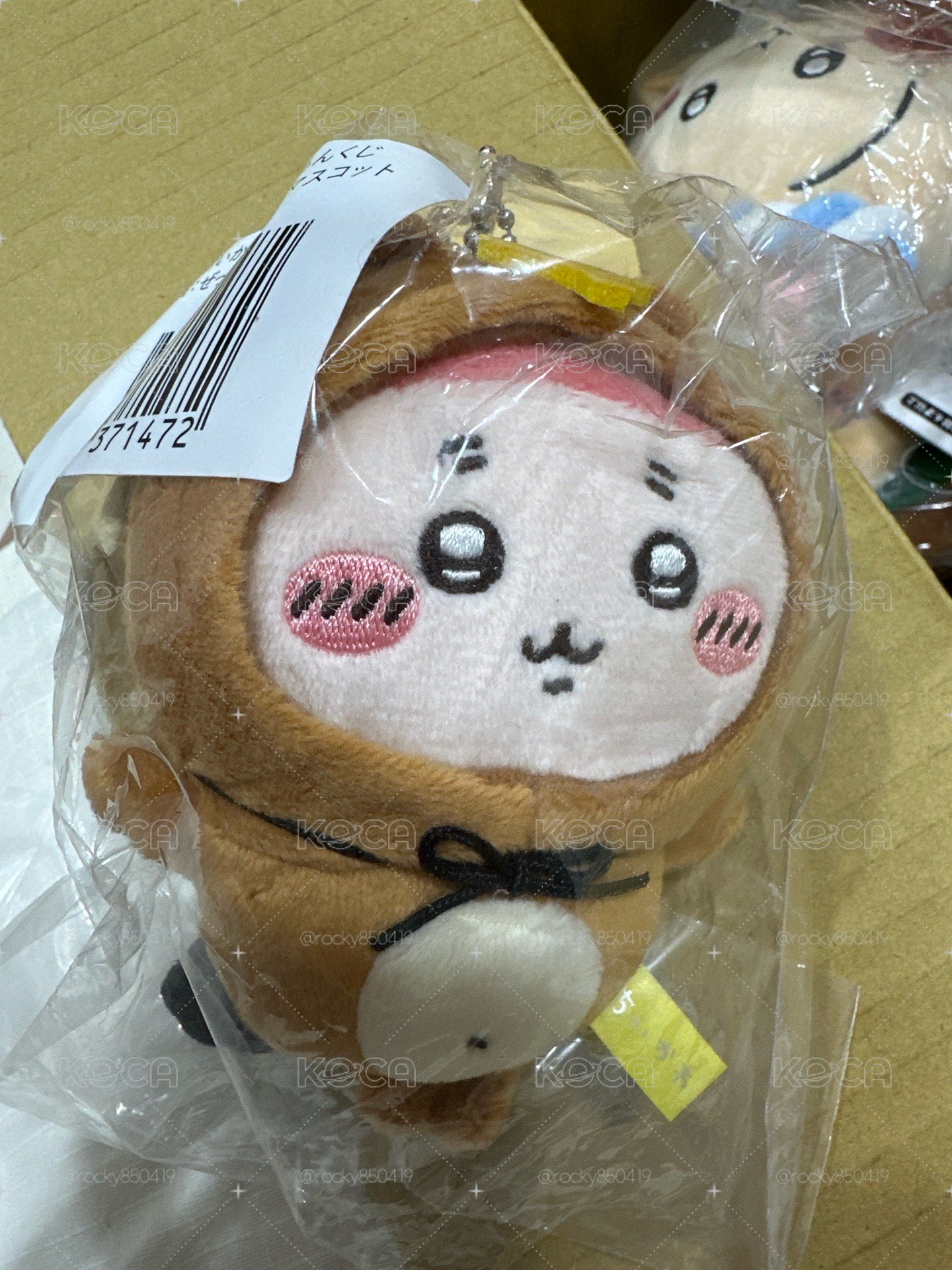 古本屋 狸貓 一番賞 C賞