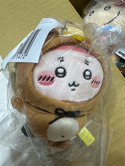 古本屋 狸貓 一番賞 C賞
