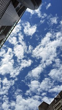 hazelkuo03