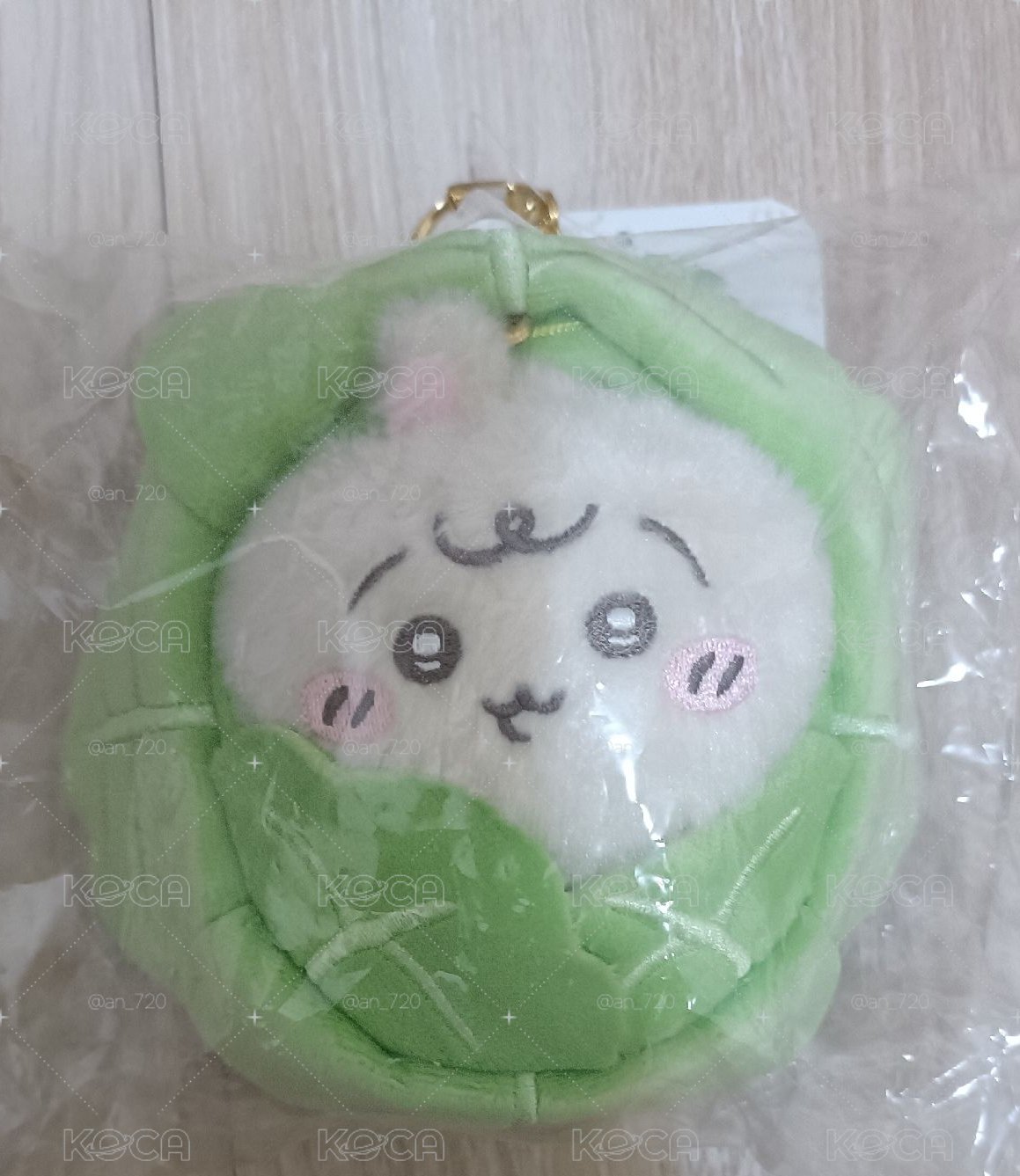 兔兔寶寶
